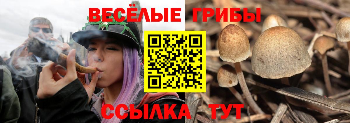 наркота  Вход с VPN  Нурлат  Псилоцибиновые грибы MAGIC MUSHROOMS 